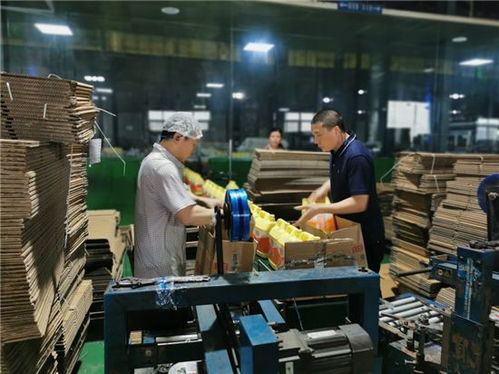 調結構增產能，四川立白疫情期間產銷不降反升背后的軟件力量