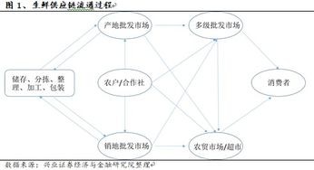 2019年農(nóng)產(chǎn)品供應(yīng)鏈行業(yè)深度研究報(bào)告 凌云集團(tuán)供應(yīng)鏈模式解析