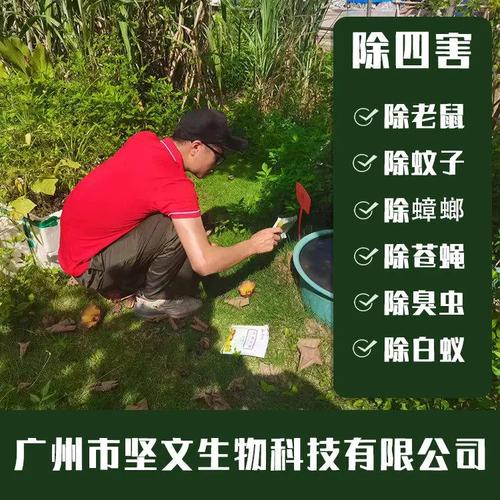 荔灣醫(yī)院滅鼠防治公司:工廠殺蟲滅鼠方案,保障生產環(huán)