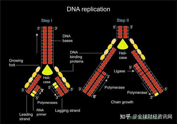 合成生物學產業進入兌現期:從實驗室走向工廠,生物制造開啟產業新變革